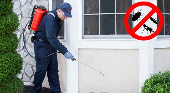 Aybastı Kemirgen İlaçlama böcek ilaçlama ve haşere kontrolü — ilaclama-tr.com